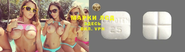 apvp Елабуга
