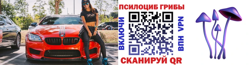 Псилоцибиновые грибы мухоморы купить закладку Светогорск